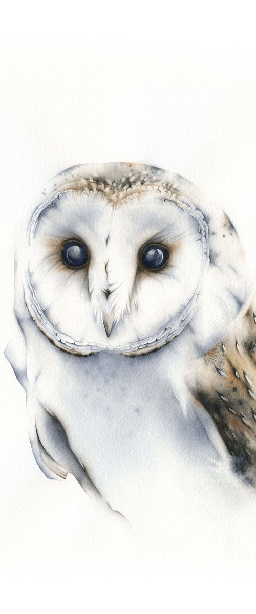 Owl's Eyes by ieva Janu