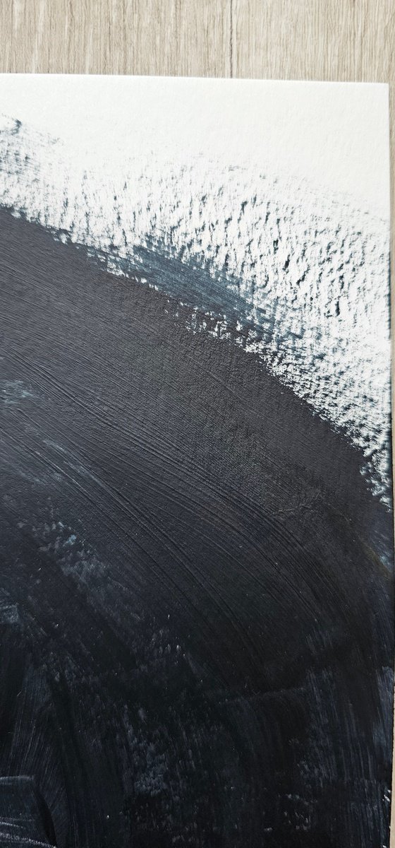 Orange ginger cat portrait on black