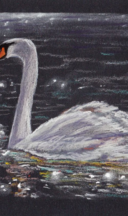 Swan by Yulia Schuster