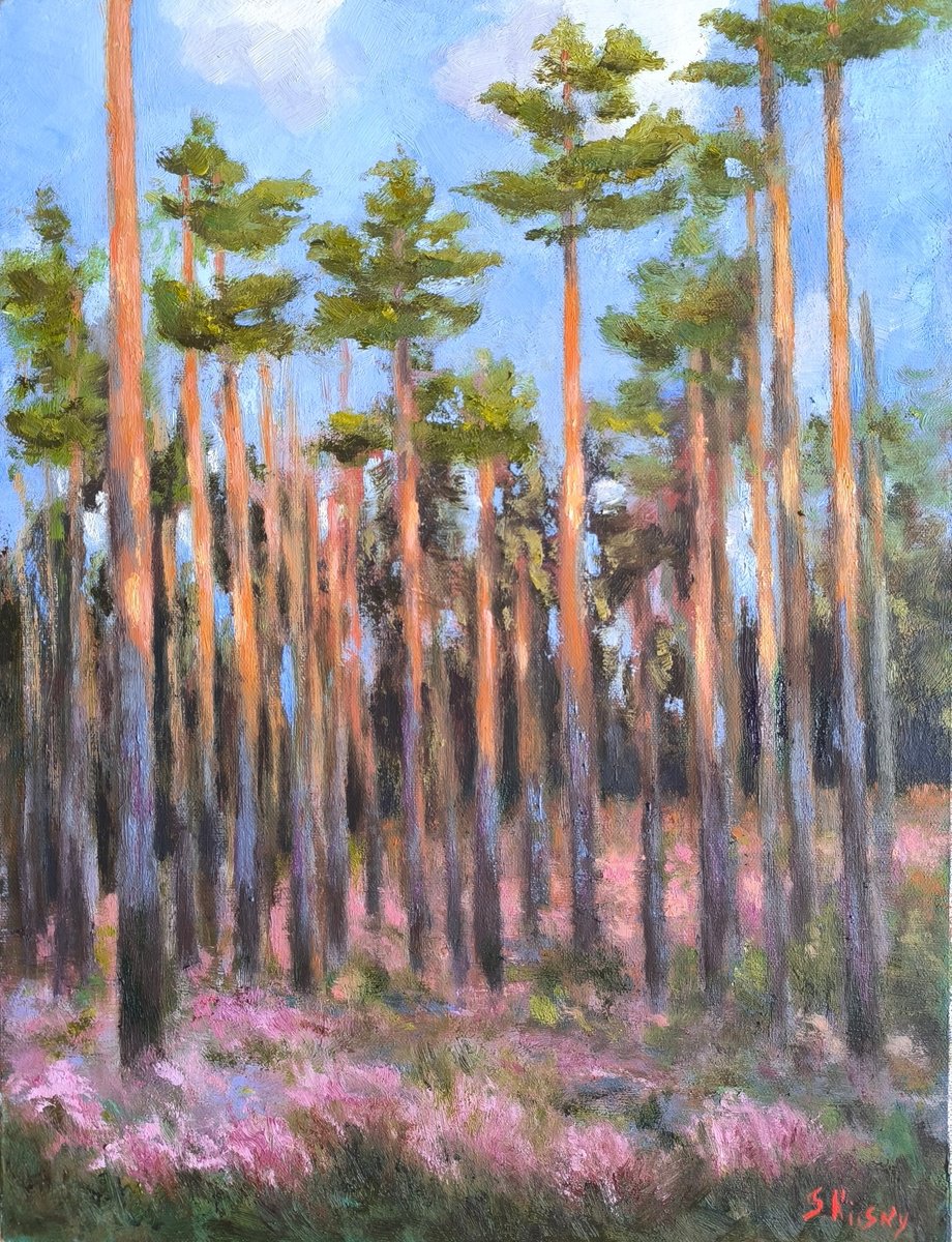 Impressionistic Landscape Oil Painting By Svetlana Grishkovec-Kiisky, 13 X 17", Pine Forest, Original Artwork