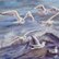 Seagulls4 by Elena Sokolova