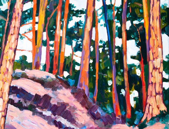 Pines - 70x90cm canvas  - oil