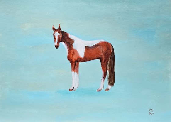 Pinto skewbald horse on blue
