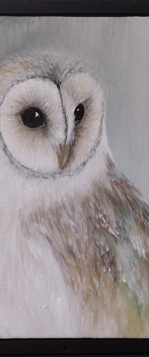 Barn Owl by Sara Westaway