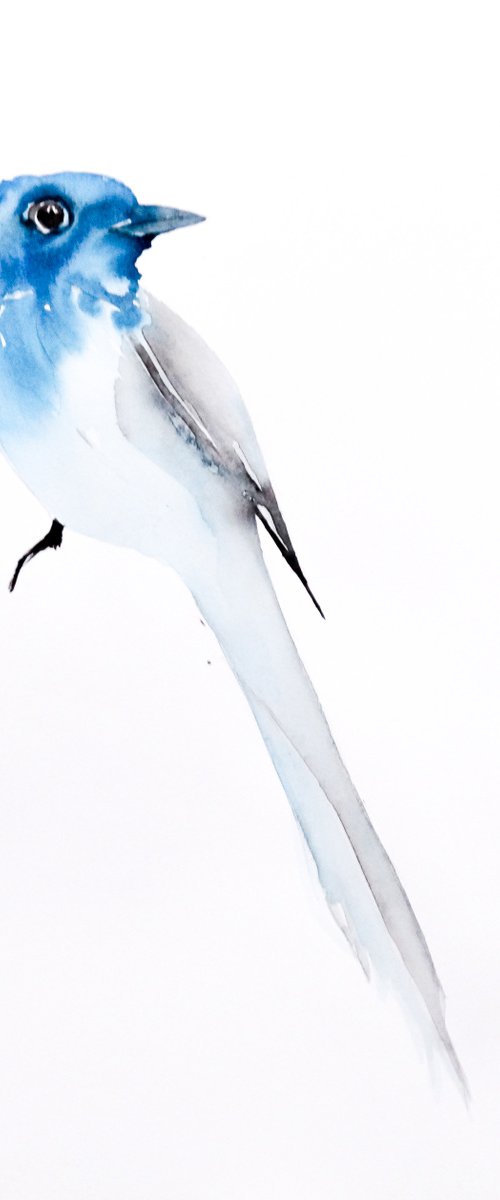 Bird by Nadia Moniatis
