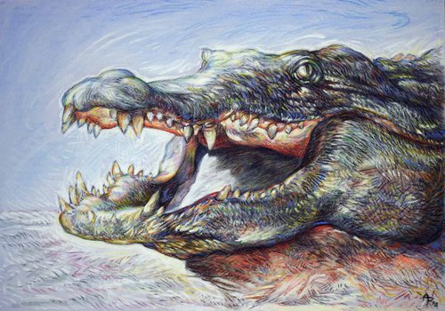 Crocodile by Austen Pinkerton