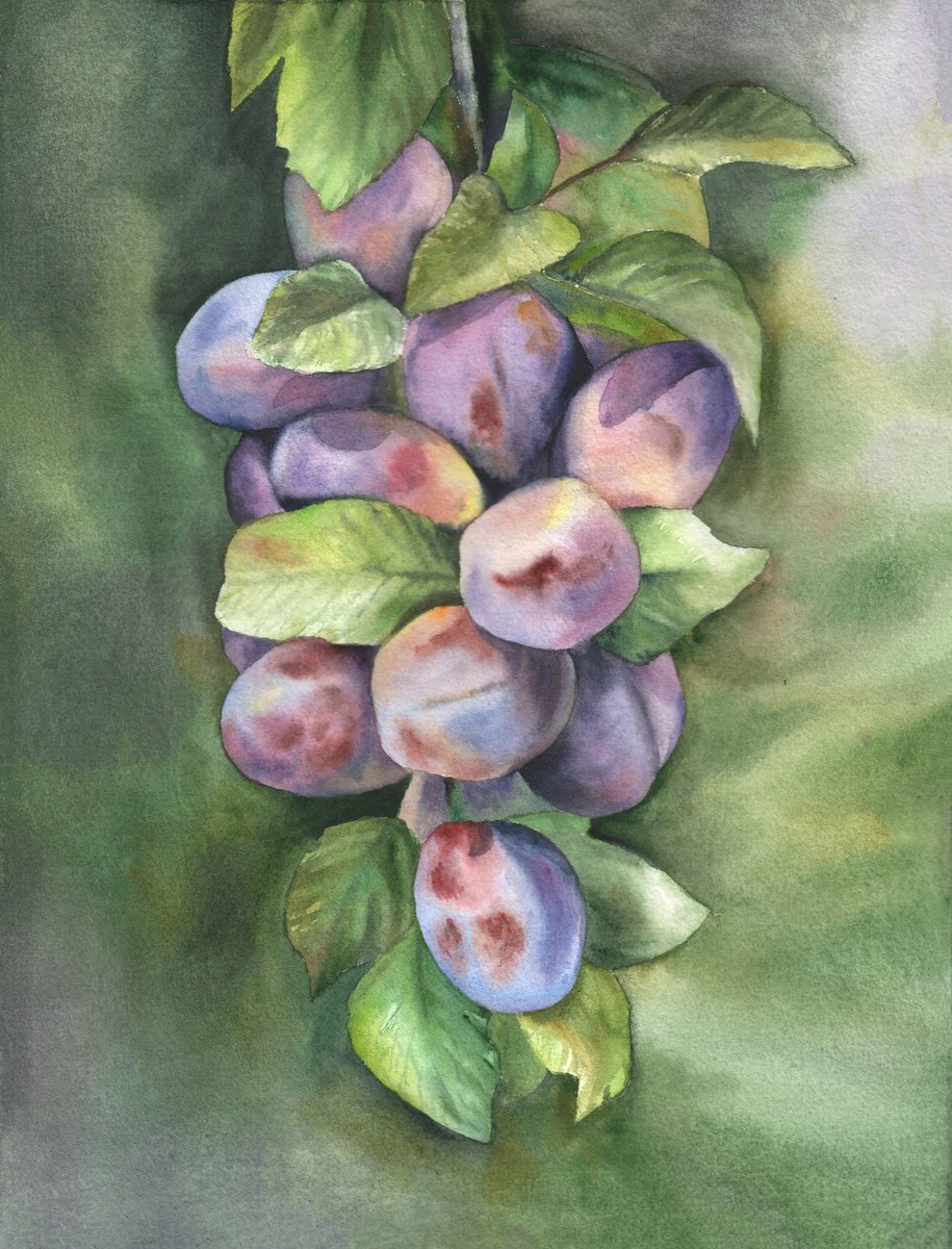 Impressionistic Watercolour , Ripe Plums By Maryna Boiko, 9 X 13, Artwork For Sale On Artfinder