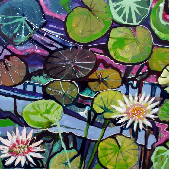 Lily Pond