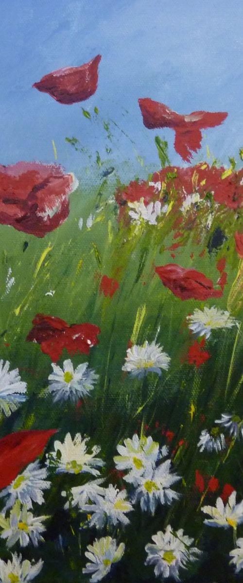 Poppy Field by Margaret Denholm