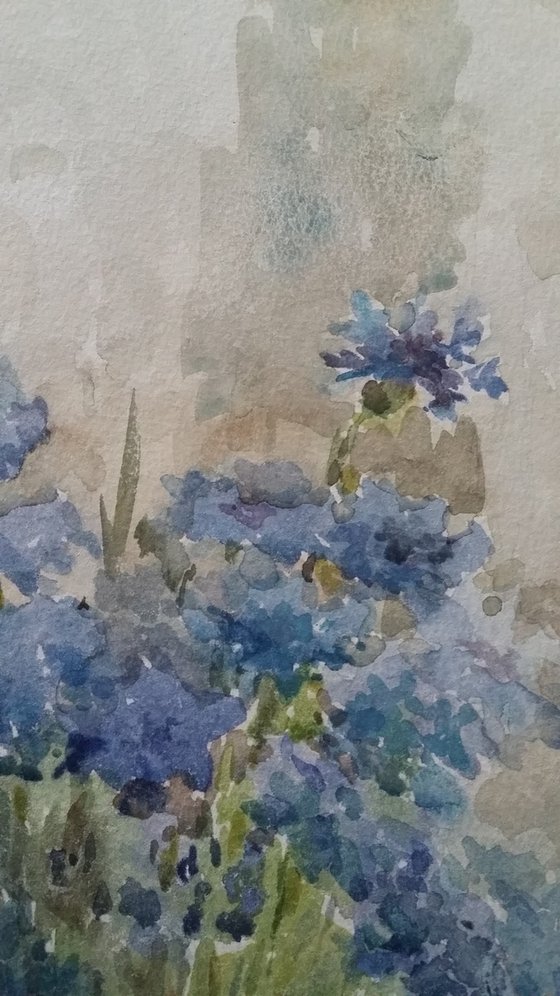 Cornflowers. Original watercolour painting.