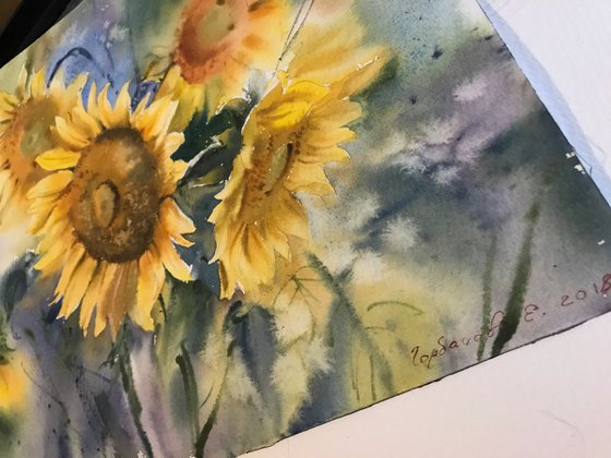 Sunflowers