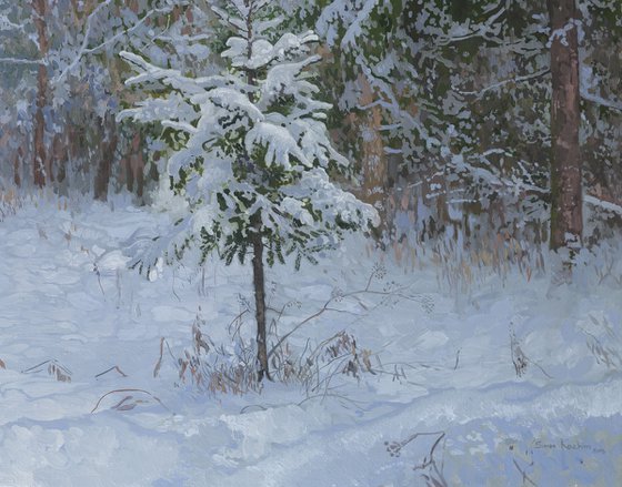Winter forest