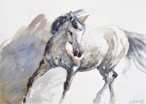 Horse in the trot (70x50) by Goran Žigolić Watercolors