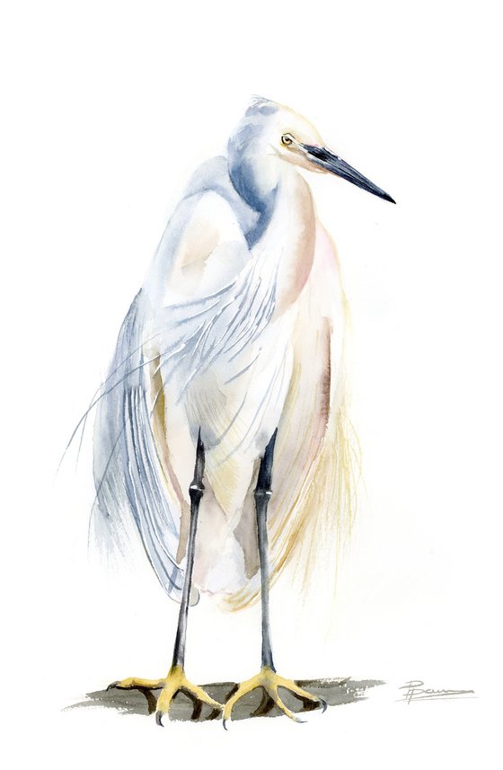 Heron  -  Original Watercolor Painting