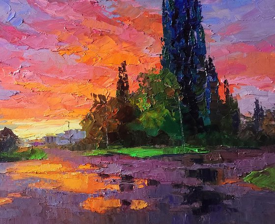 Morning After the Rain