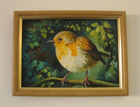 Little robin - framed