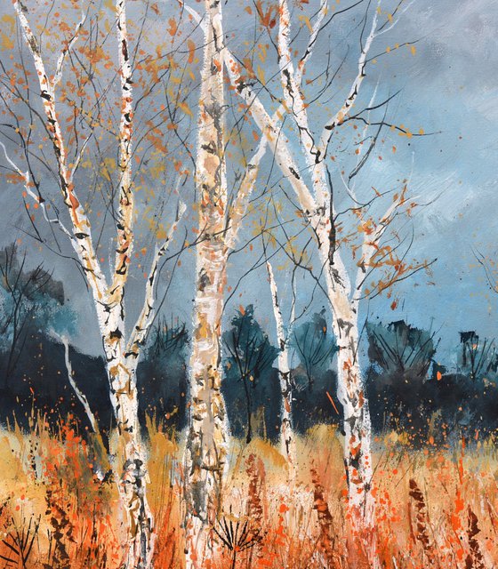 Aspen trees in autumn