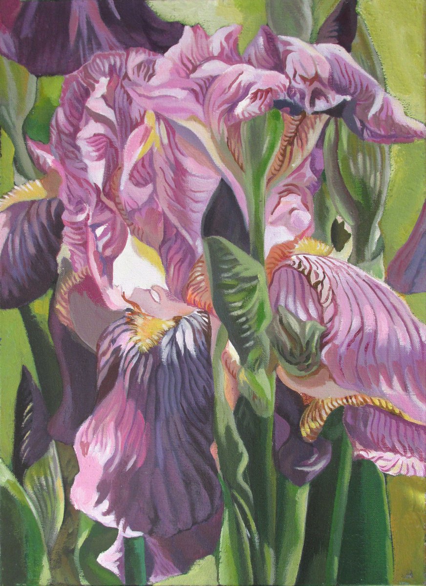 pink iris acrylic floral by Alfred  Ng