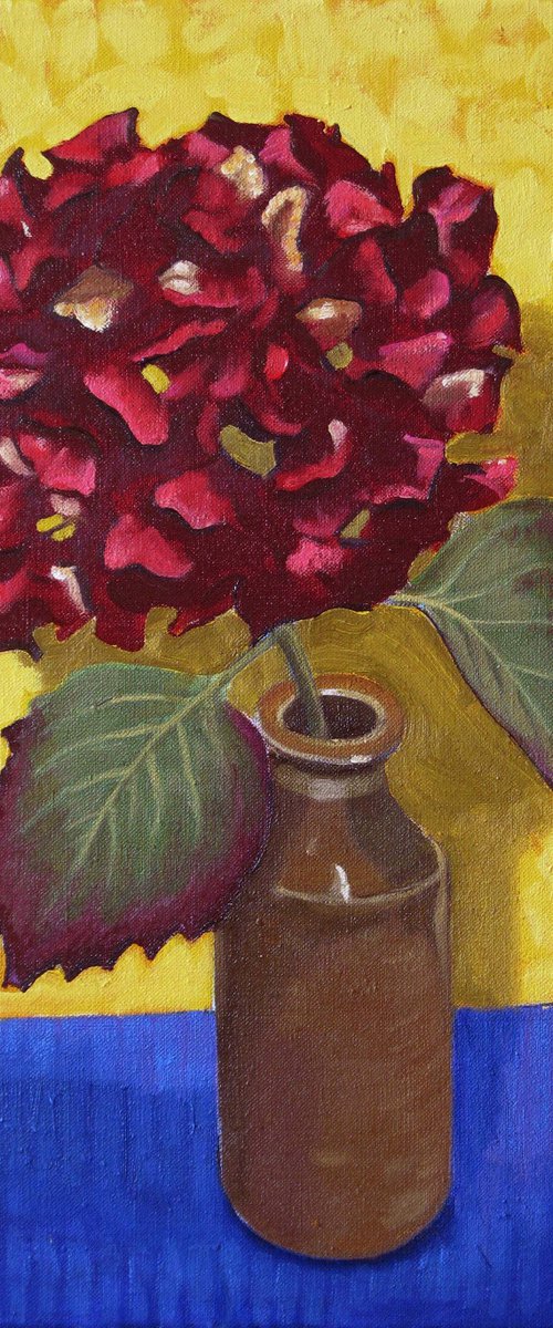 Single Hydrangea Flowerhead by Richard Gibson