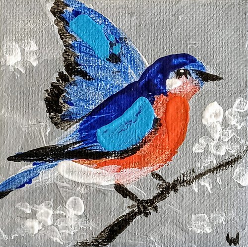 Eastern Bluebird by Svetlana Wittmann