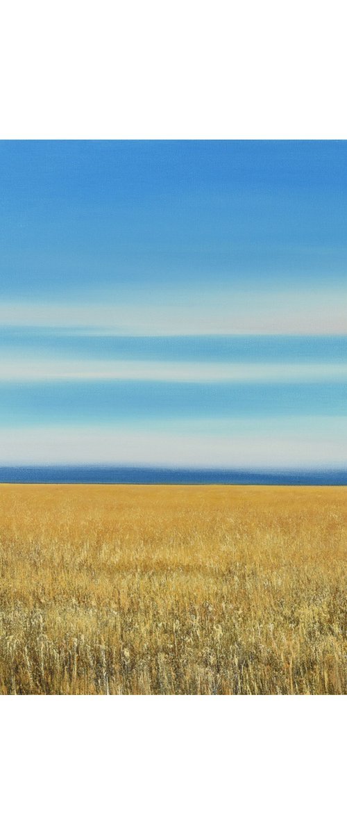 Golden Field - Blue Sky Landscape by Suzanne Vaughan