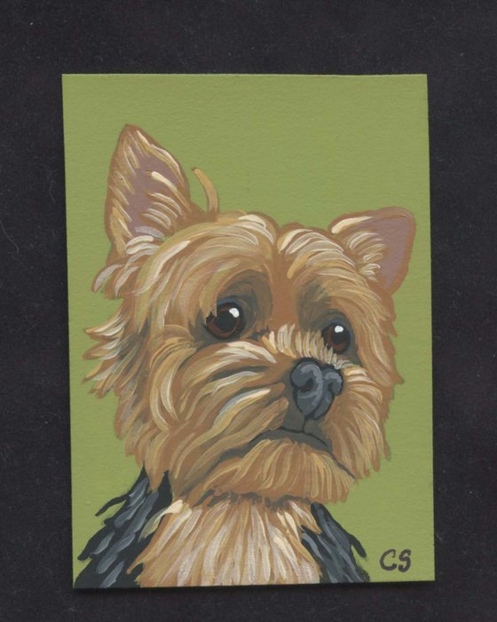 ACEO ATC Original Miniature Painting Yorkshire Terrier Pet Dog Art-Carla Smale
