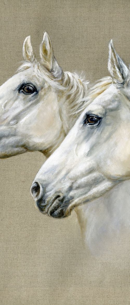 White horses by Una Hurst