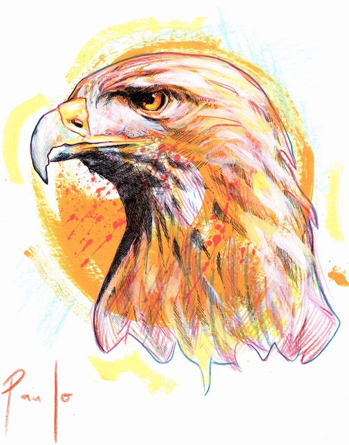 Golden eagle by Paul Ward