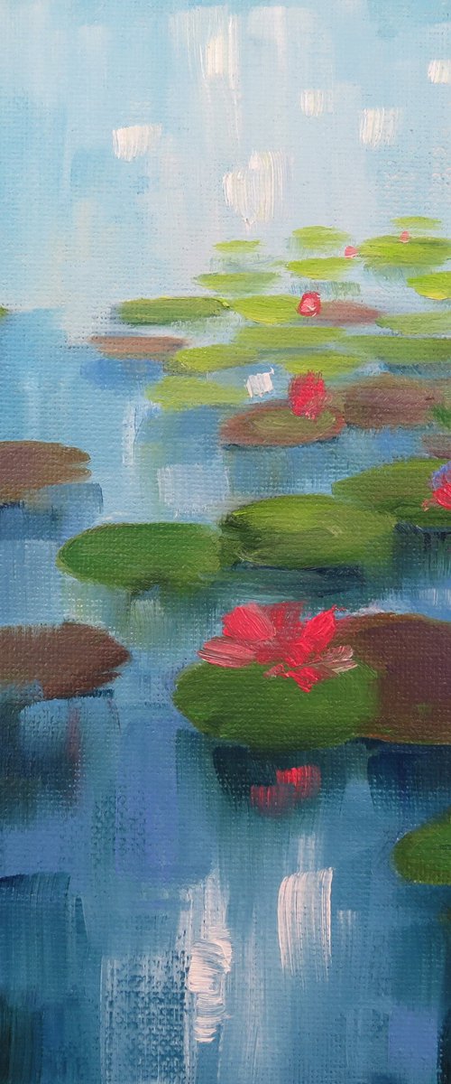 Water lilies by Kerry Lisa Davies