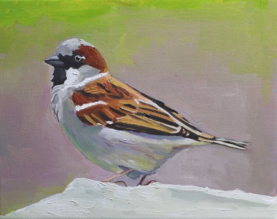 Spring Sparrow