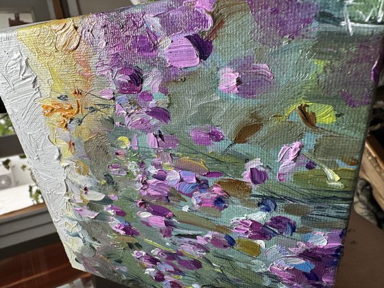 Lavender Field Symphony