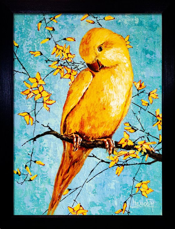 Yellow parrot