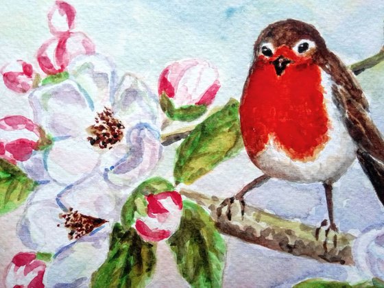 Robin Bird and Apple Blossom