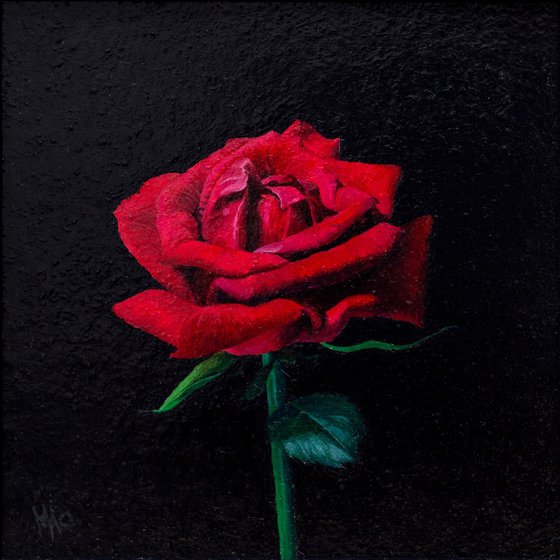 "The Red Rose"