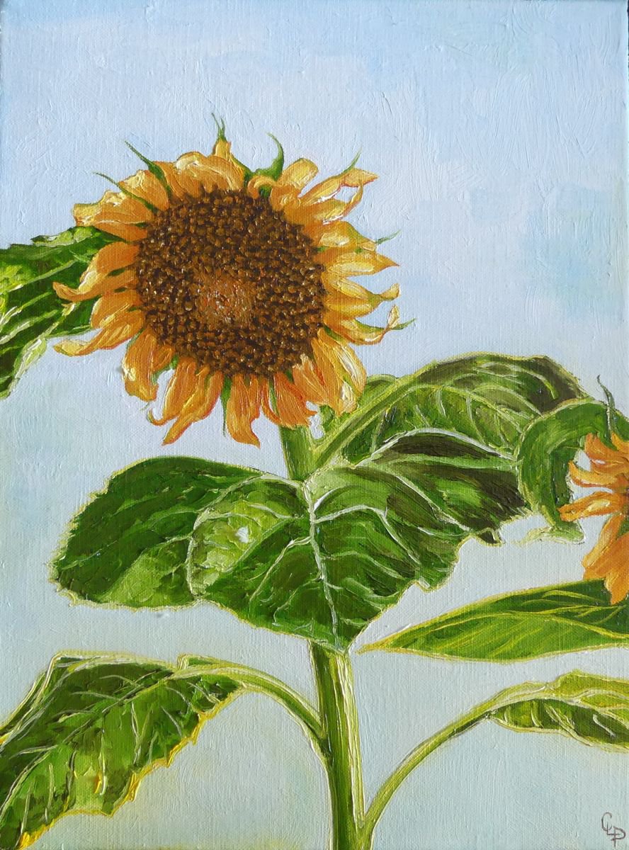 sunflower by Cecile Pardigon