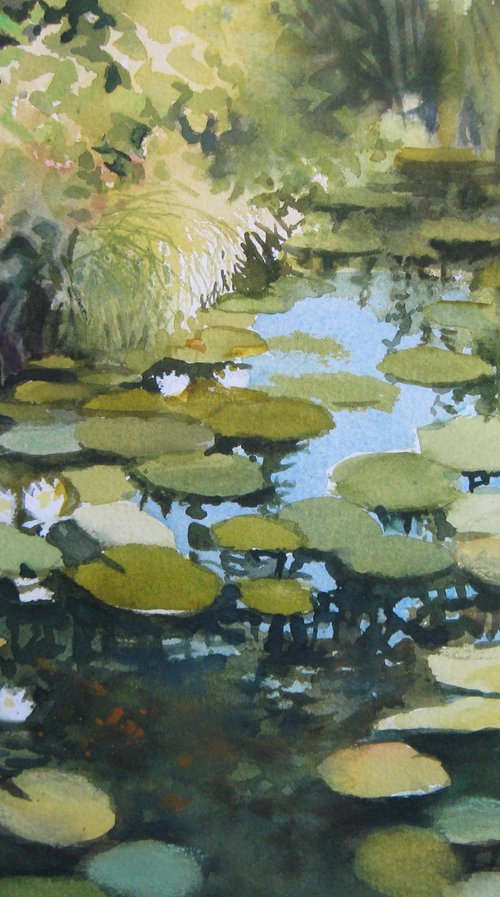 Pond by Elena Oleniuc