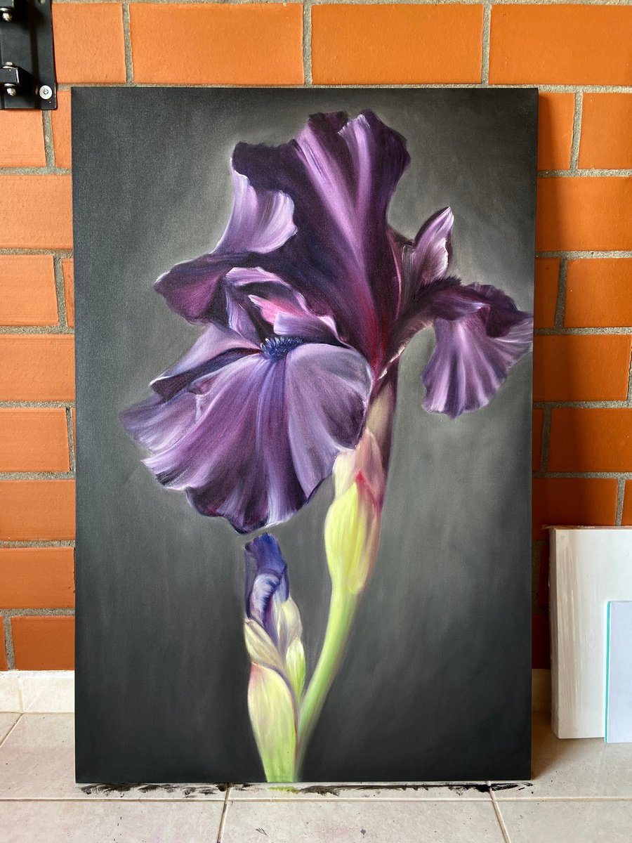 NOBLE IRIS 120/80cm by Alexandra Ozerova