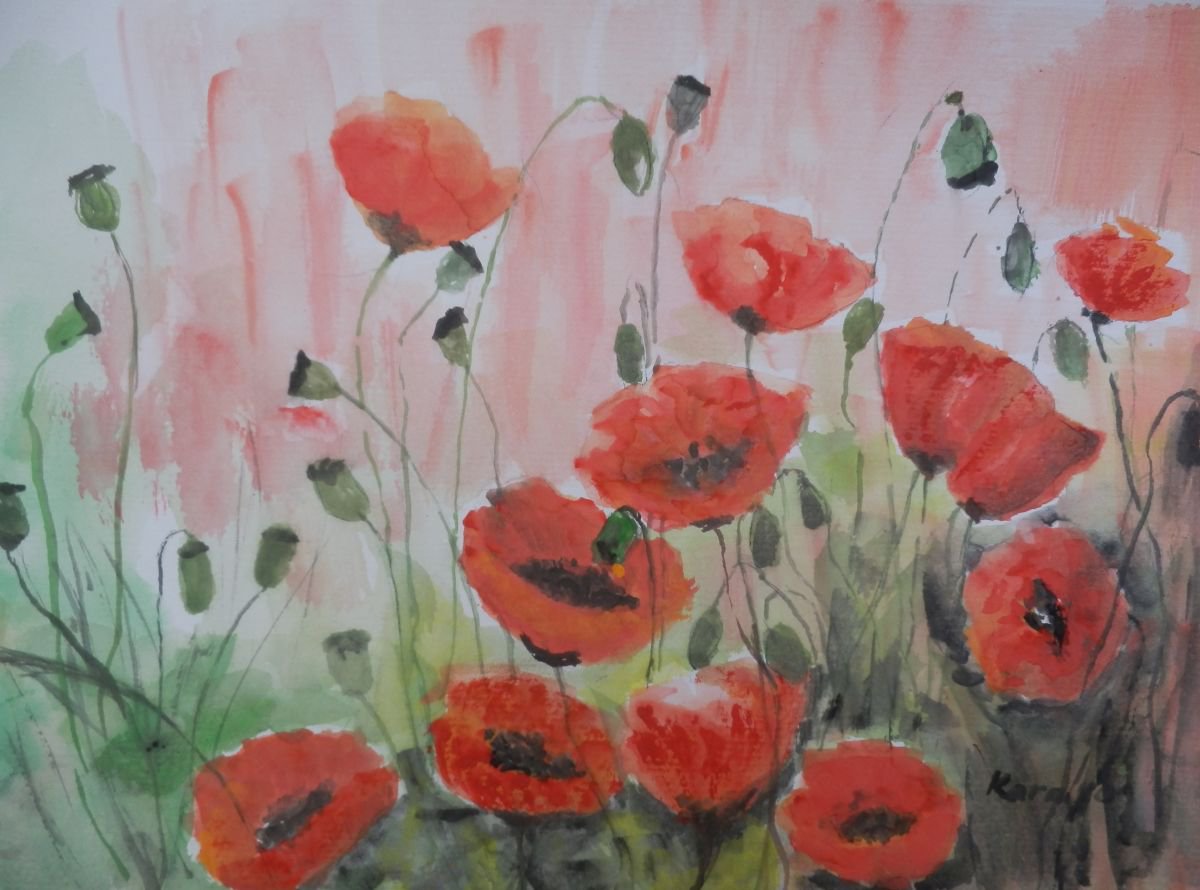 Poppies by Maria Karalyos