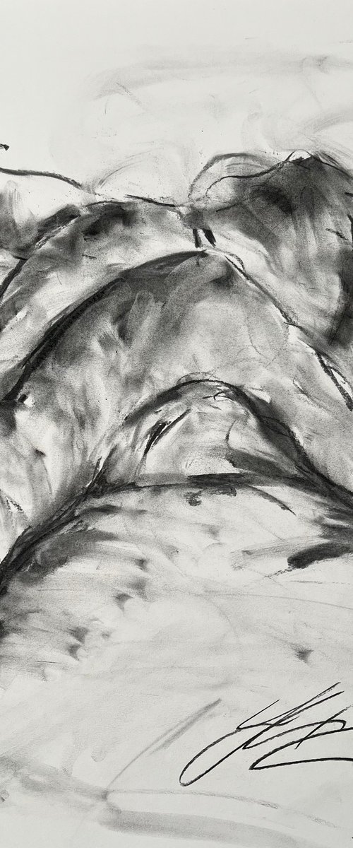 Depths by James Shipton