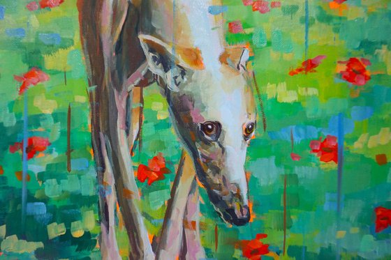 greyhound 2