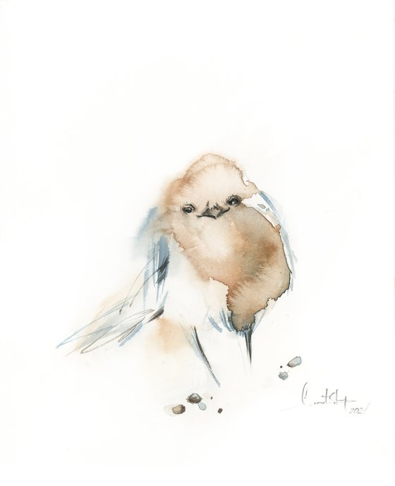 Little birds watercolor painting 2 set