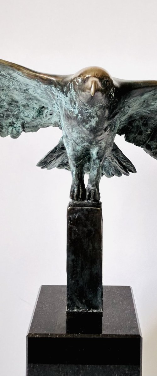 The Embrace of the Wind by Joanna Cholewa