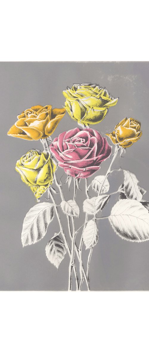 Roses by Louise Boulton