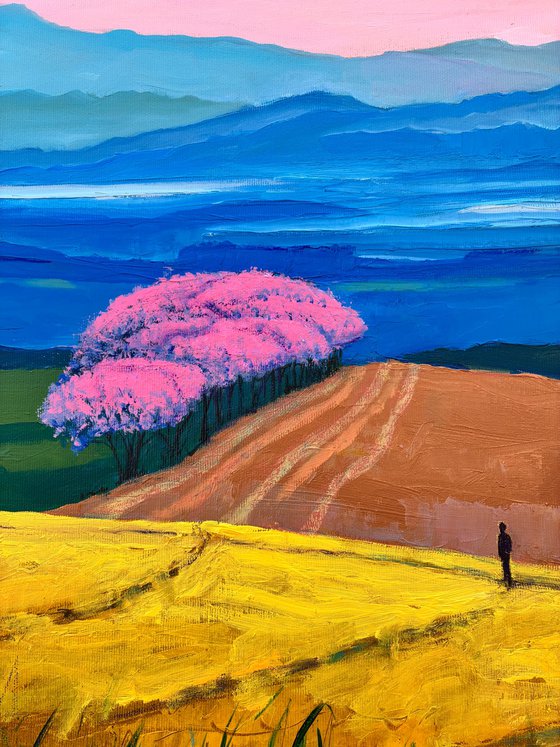 “Dream place”