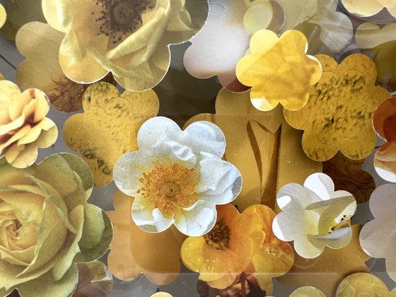 Full Bloom II