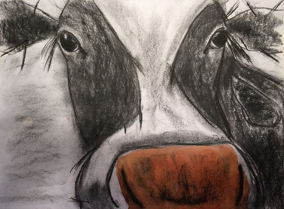 Cow Sketch in Charcoal
