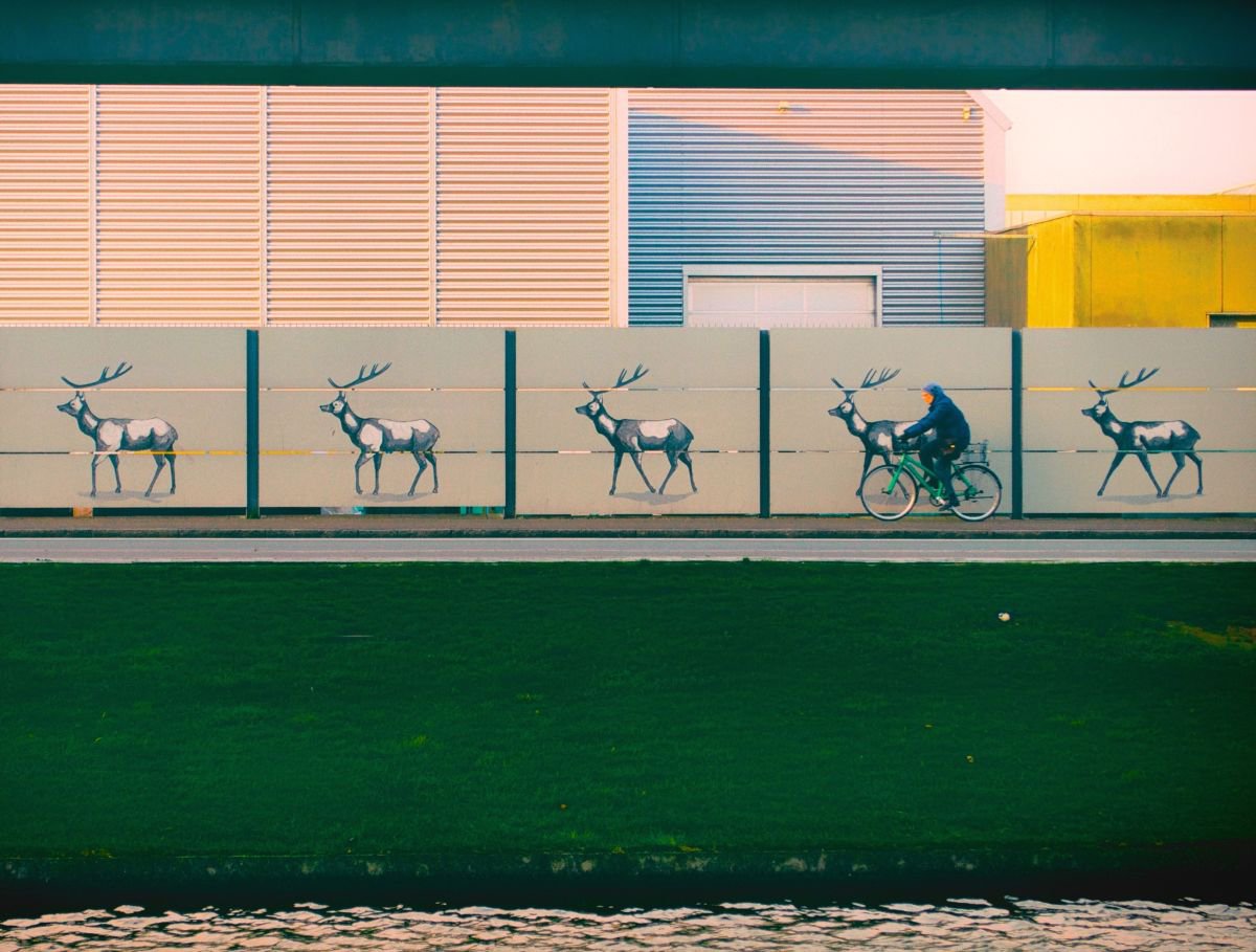 Photorealistic Cityscapes Photograph By Marc Ehrenbold, 40 X 30", Deer + Bike, Original Artwork