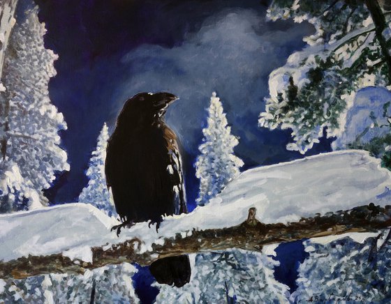 The Night of the Twelfth of February