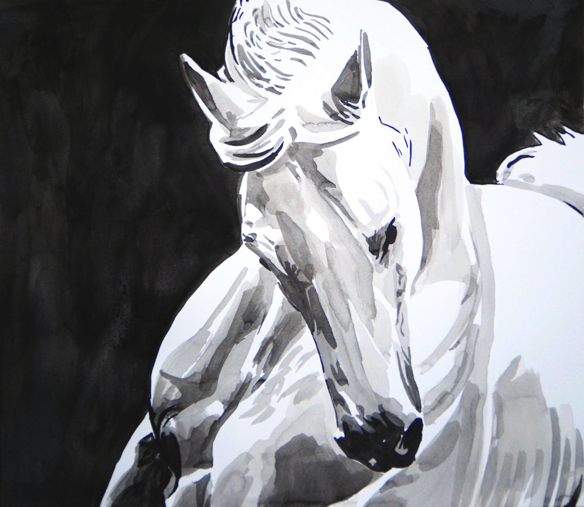 White horse / 45.8 x 40 cm by Alexandra Djokic