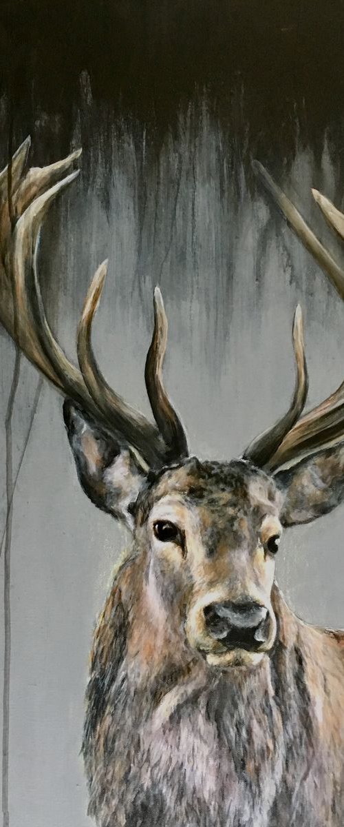Dark Stag, original painting by Paul Hardern